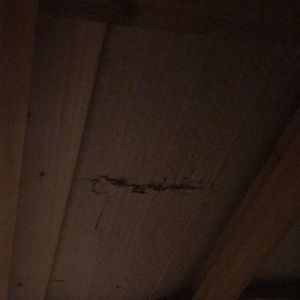 Meet your Posher, Buune